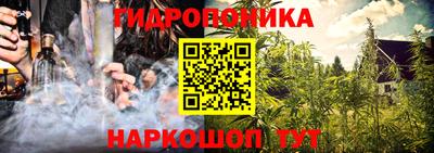 МДПВ Славгород