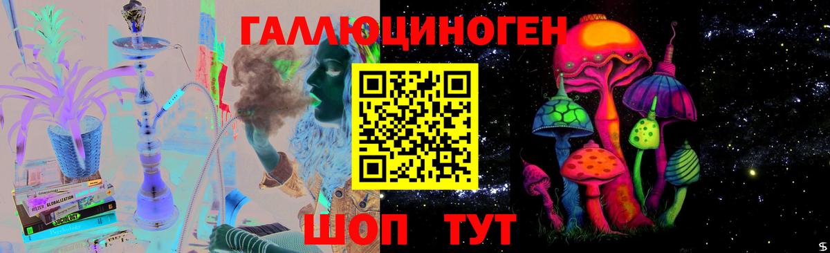 Павловский Посад  Галлюциногенные грибы Psilocybe  Вход с VPN 